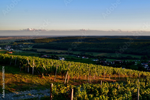 Abendstimmung in den Weingärten am Eisenberg im Südburgenland