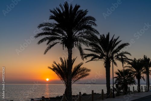 sunset over the ocean with palm trees in silhouette and a beachfront sidewalk