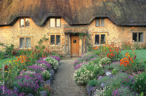 Europe, England, Chippenham. Early morning light warms the golden Cotswold stones of this thatched cottage near Chippenham, Wiltshire, England.