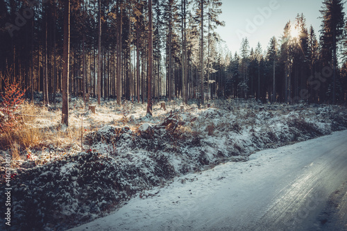 Droga biegnąca przez zaśnieżony las