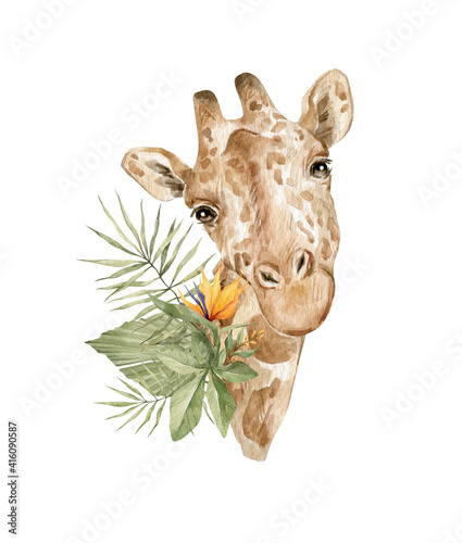 Watercolor cute giraffes and floral tropical bouquets. Exotic savannah animal, giraffe and plants, flowers. 