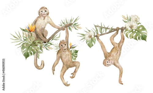 Watercolor cute monkeys and floral tropical bouquets. Exotic tropical animals, monkeys on the tree and plants, flowers. 