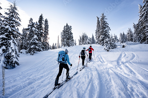 Mountaineer backcountry ski waling in the mountains. Ski touring in high alpine landscape with snowy trees. Adventure winter extreme sport.