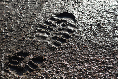 boot footprint in the mud