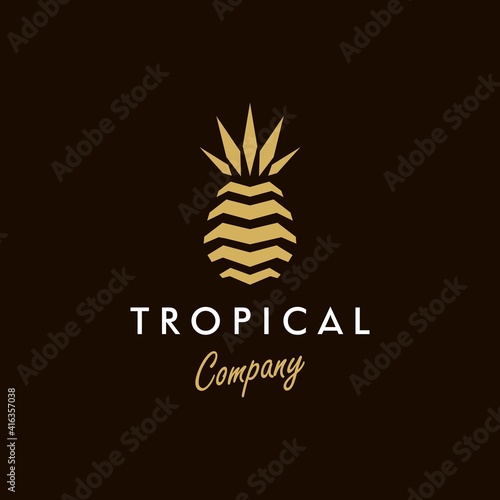 abstract golden geometric ananas pineapple logo icon shape vector, in trendy minimal luxury style design Illustration
