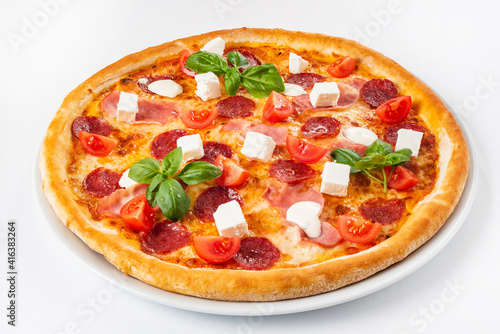 pizza on the white background