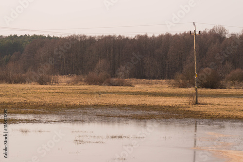 Wiosenne roztopy, rozlewiska na łące.