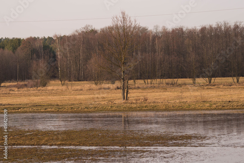 Wiosenne roztopy, rozlewiska na łące.