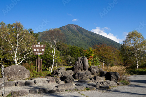 戦場ヶ原の三本松園地から望む男体山