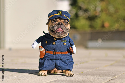 Funny French Bulldog dog wearing police officer uniform costume with fake arms 