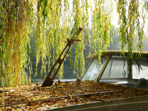 Old boat covered in fallen willow leaves on the Thames in Maidenhead, Berkshire on a sunny autumnal day