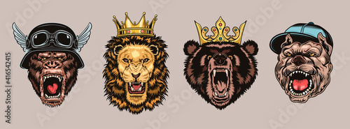 Animal angry characters set. Gorilla in biker helmet, lion and bear in riyal monarch crown, bulldog in gangster cap with open jaws. Vintage vector illustrations isolated on white background