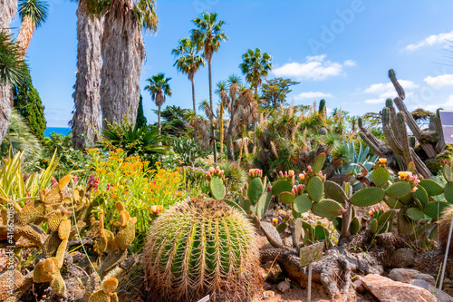 Marimurtra botanical gardens at Blanes near Barcelona, Spain