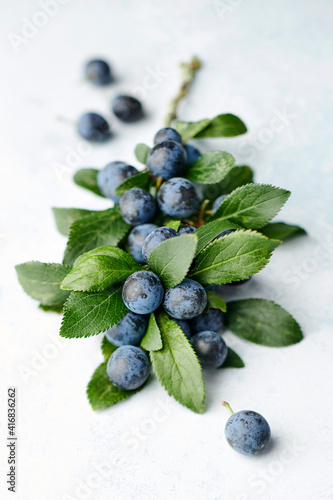 Sloe berries