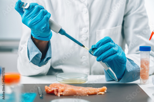 Food Safety and Quality Assessment. Microbiologist Testing Poultry Sample for the Presence of Salmonella and E.Coli