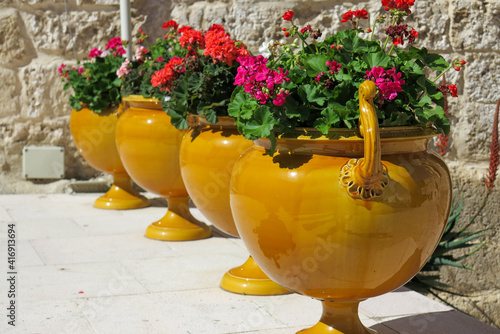 vases and red flowers