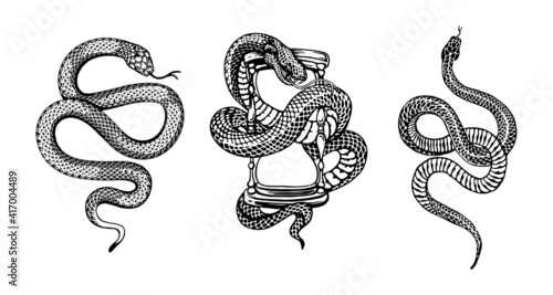 snakes illustrations vector design elements for designers