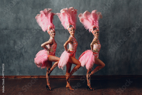Women in cabaret costume with pink feathers plumage dancing samba