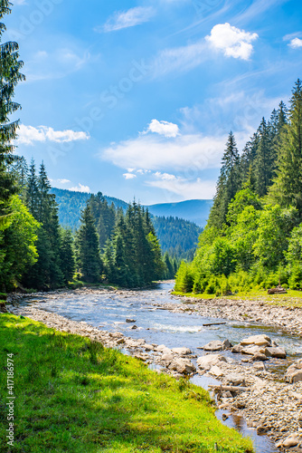mountain stone river flows near the coniferous forest and mountains.