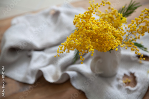 Branch of yellow mimosa on white fabric top view