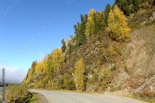 Highway along the mountain river Bii. Altai Republic