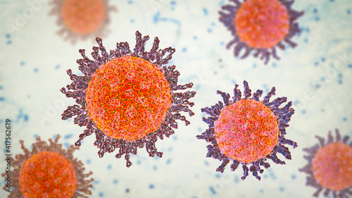 Herpes simplex virus