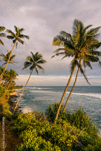 Tropikalny krajobraz, palmy na tle zachodzącego nieba i oceanu.