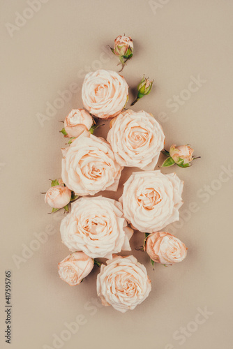 Spring or summer background. Rose flowers on a beige background. Flat lay.