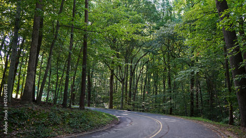 road in Rock Creek Park