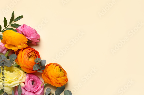Beautiful ranunculus flowers on beige background, flat lay. Space for text
