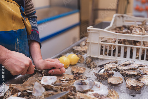 Close-up of a seafood vendor or fishmonger shucking fresh Atlantic oysters on the Isle of Skye, in the Scottish Isles of Scotland, UK.