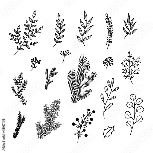Set of winter christmas holly, spruce branches, twigs with leaves, berries. Floral botanical elements. Hand drawn line vector illustration.