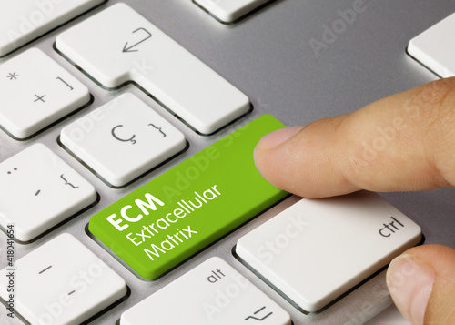 ECM extracellular matrix - Inscription on Green Keyboard Key.