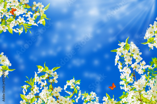 Blossoming branch cherry. Bright colorful spring flowers. Beautiful nature scene. butterfly