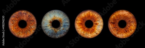 Close up of eye iris on black background, macro, photography