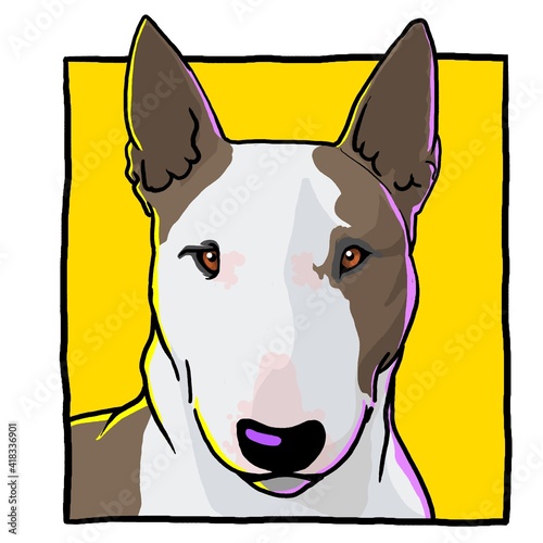 bullterrier