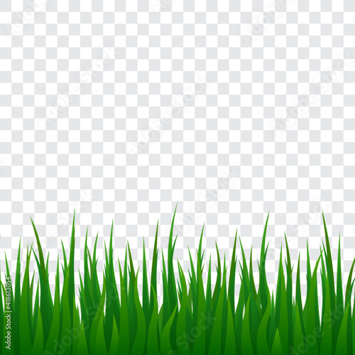 Green grass, isolated vector illustration.
