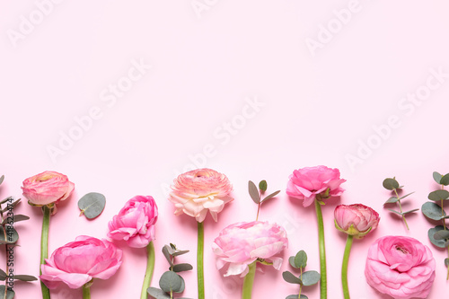 Beautiful ranunculus flowers on light pink background, flat lay. Space for text