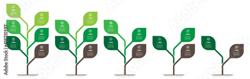 Business presentation with 5 steps or processes. Info graphic. Vertical infographics or time lines with 2, 3, 4, 5, 6 parts. Stylized trees with leaves. Development and growth of the green technology.
