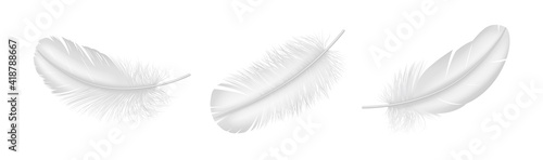 Realistic white feather set closeup isolated on white background. Detailed fluffy plume