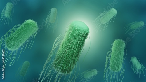 Salmonella is a bacterium cousing food poisoning, 3d render of gram negative bacillus bacteria