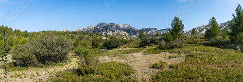 Les collines de garrigue avec les montagnes des Alpilles au fond