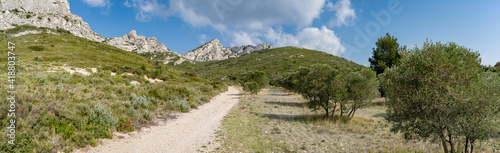 un long chemin de randonnée bordé d'olivier qui mène vers les montagnes des Alpilles 