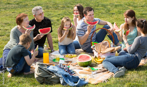 Positive people of different ages sitting and talking on picnic together