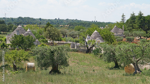 Trulli (trullo) stone hut dwelling with conical roof on countryside between olive trees, famous in Apulia region, travel concept, Italy