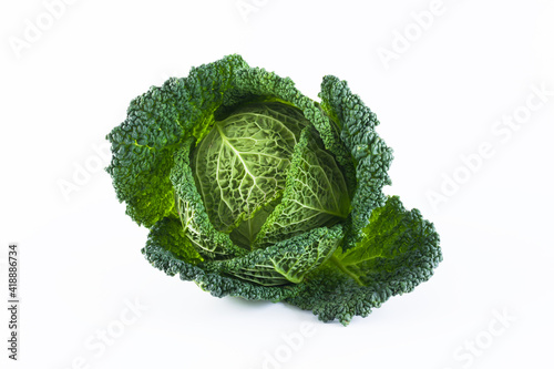 Fresh Savoy whole cabbage isolated on a white