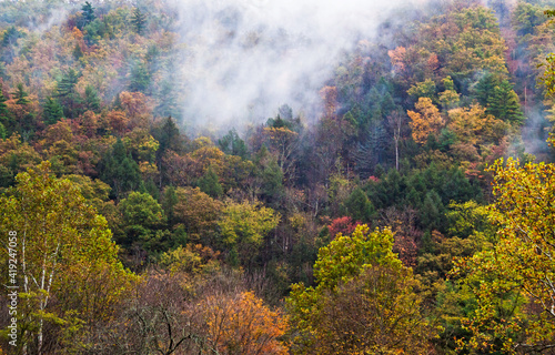 colorful autumn landscape image taken in Western Maryland.
