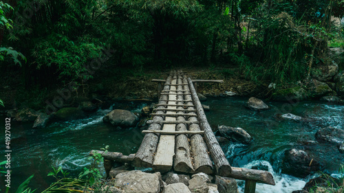 Beautiful river and bridge in the forest Honduras Central America