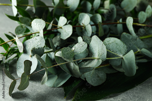 Beautiful eucalyptus branches with water drops on gray textured table