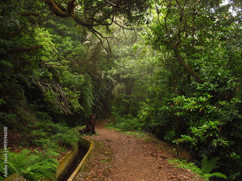 Ścieżki turystyczne wzdłuż kanałów, lewad do zbioru wody deszczowej z gór, Madera, Portugalia 